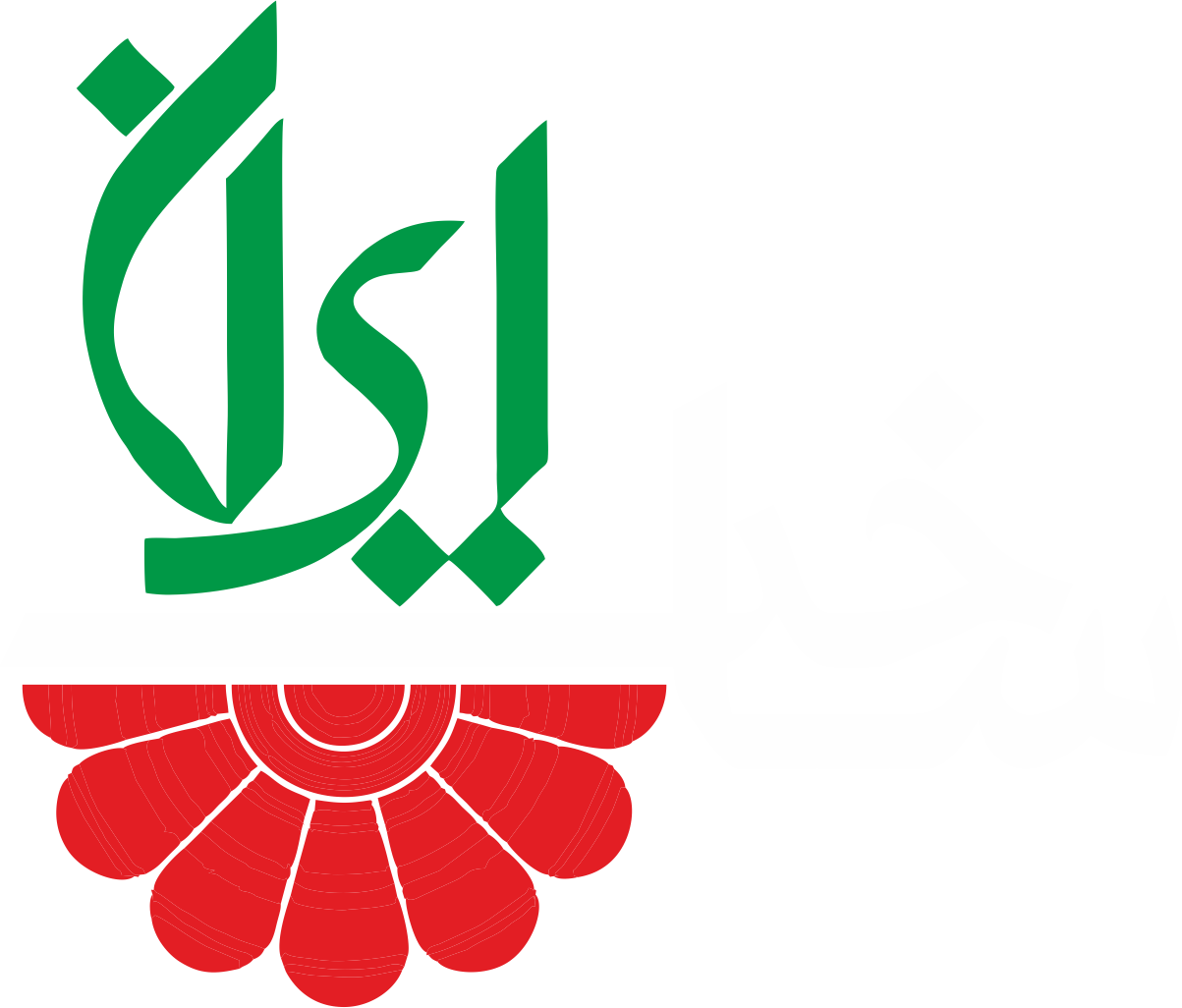 Made in IRAN